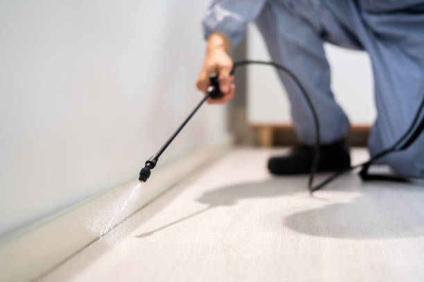 Rodent Entry Point Assessment in Waterville