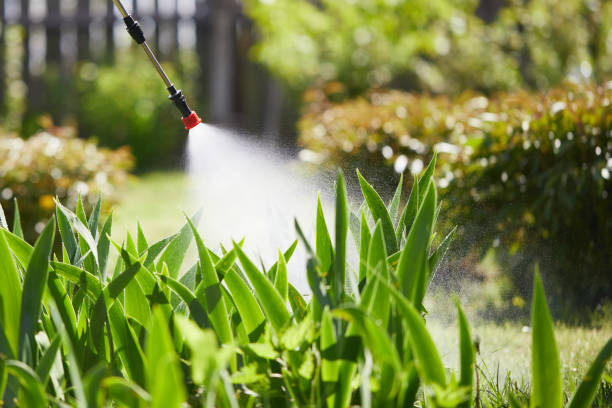 Tamper-Resistant Bait Stations for Rodents in Waterville