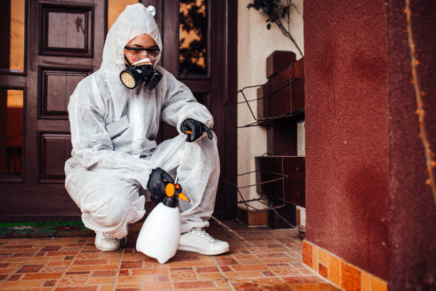 Attic and Crawl Space Rodent Treatment in Waterville